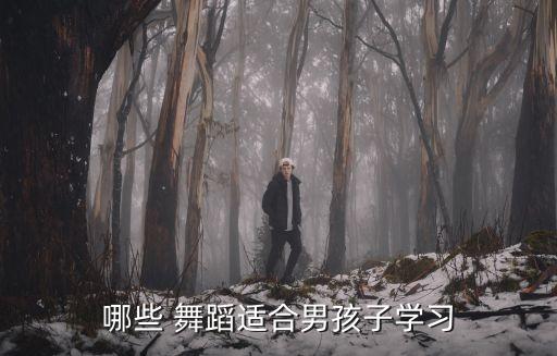 哪些 舞蹈适合男孩子学习