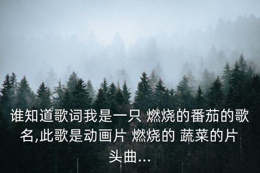舞蹈燃烧吧蔬菜,燃烧吧蔬菜幼儿舞蹈视频完整版