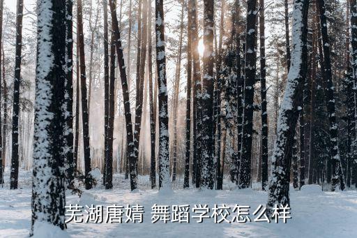 芜湖唐婧 舞蹈学校怎么样