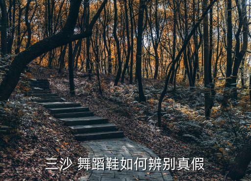 三沙 舞蹈鞋如何辨别真假
