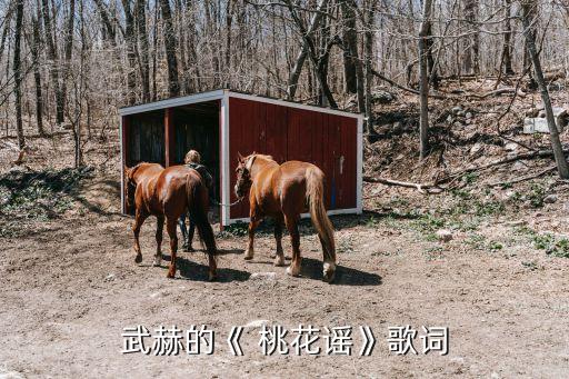 桃花谣舞蹈分解教学,丛燕君桃花谣舞蹈分解动作