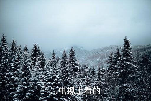 ...电视上看的