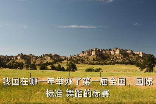我国在哪一年举办了第一届全国、国际标准 舞蹈的标赛