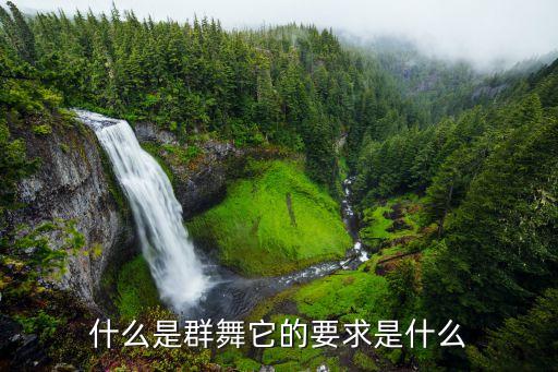 什么是群舞它的要求是什么