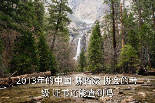 2013年的中国 舞蹈家 协会的考级 证书还能查到吗