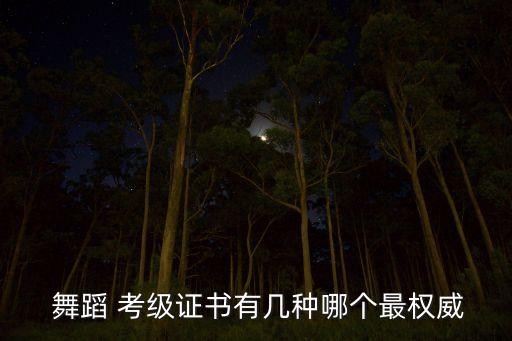  舞蹈 考级证书有几种哪个最权威