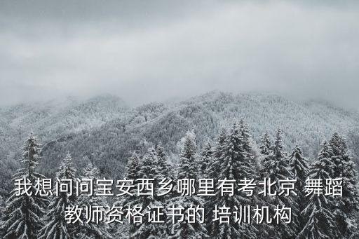我想问问宝安西乡哪里有考北京 舞蹈教师资格证书的 培训机构