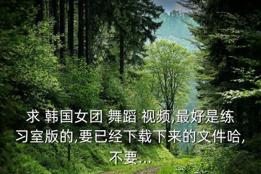 求 韩国女团 舞蹈 视频,最好是练习室版的,要已经下载下来的文件哈,不要...