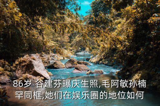 86岁 谷建芬曝庆生照,毛阿敏孙楠罕同框,她们在娱乐圈的地位如何