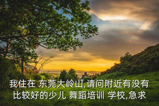 东莞依依国际舞蹈学校