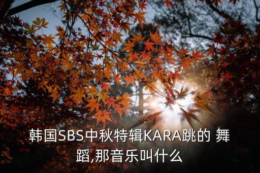 韩国SBS中秋特辑KARA跳的 舞蹈,那音乐叫什么