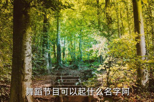  舞蹈节目可以起什么名字阿