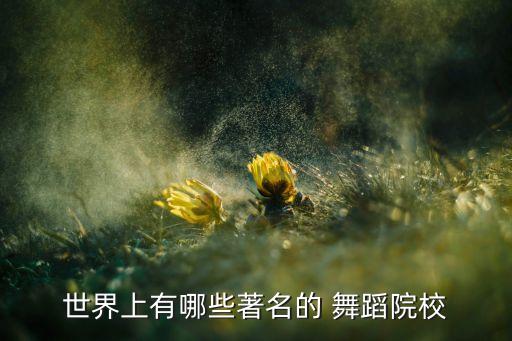 世界上有哪些著名的 舞蹈院校