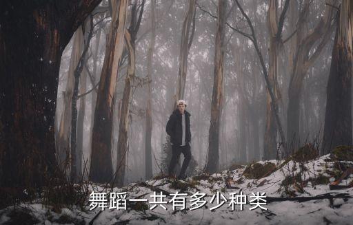  舞蹈一共有多少种类