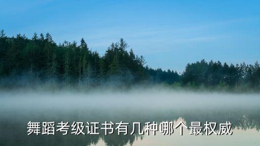 舞蹈考级证书有几种哪个最权威