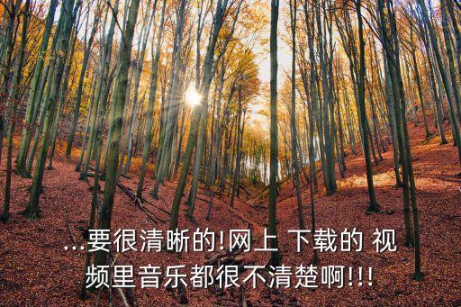 ...要很清晰的!网上 下载的 视频里音乐都很不清楚啊!!!