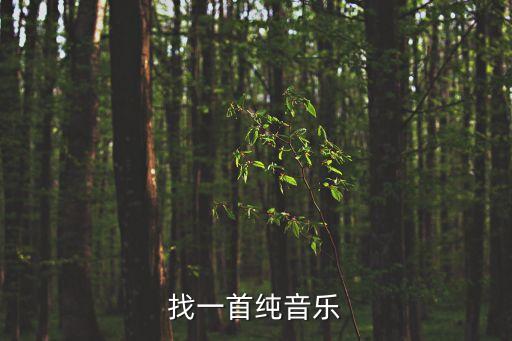 找一首纯音乐
