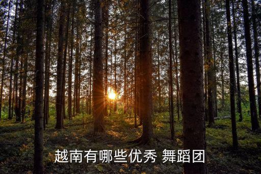 南部天空下舞蹈,在南部的天空下歌曲歌词