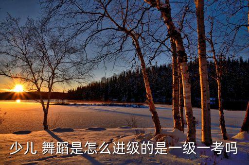 怎样办舞蹈考级点,私人办的舞蹈考级是正规的吗