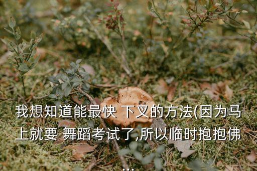 我想知道能最快 下叉的方法(因为马上就要 舞蹈考试了,所以临时抱抱佛...