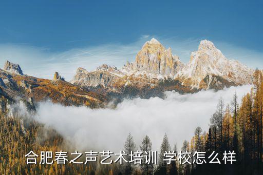 合肥春之声艺术培训 学校怎么样