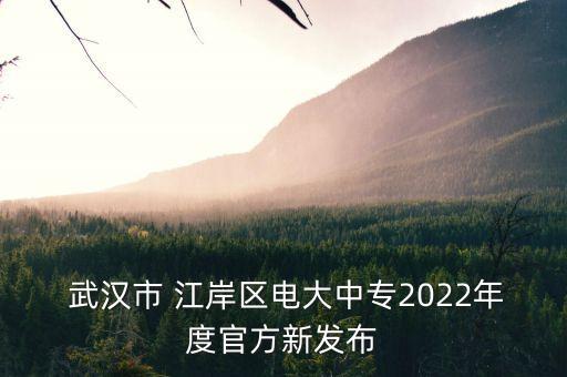  武汉市 江岸区电大中专2022年度官方新发布