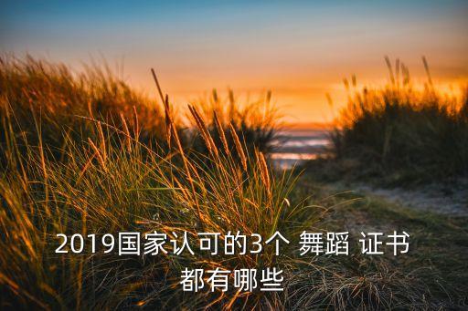 2019国家认可的3个 舞蹈 证书都有哪些