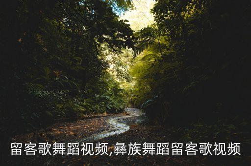 六歌留客歌舞蹈视频,彝族舞蹈留客歌视频