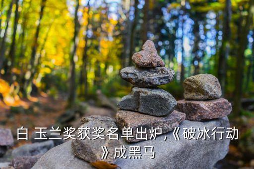 长安小玉兰舞蹈中心,东莞长安小玉兰舞蹈培训中心