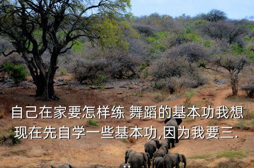 自己在家要怎样练 舞蹈的基本功我想现在先自学一些基本功,因为我要三...