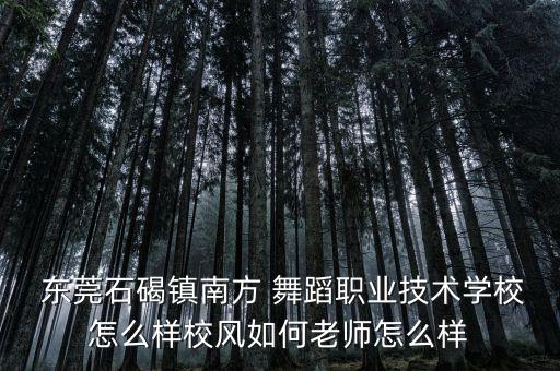  东莞石碣镇南方 舞蹈职业技术学校怎么样校风如何老师怎么样