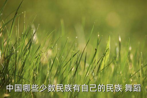 中国哪些少数民族有自己的民族 舞蹈