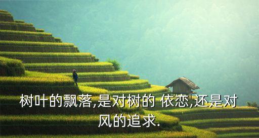 树叶的飘落,是对树的 依恋,还是对风的追求.