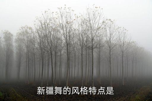 新疆舞的风格特点是