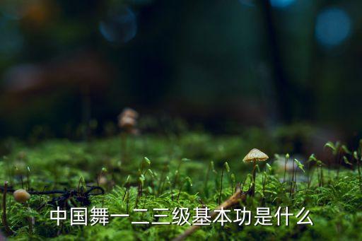 舞蹈二级有哪些,二级舞蹈亲爱的爸爸妈妈