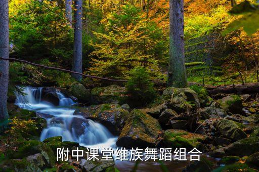 舞院附中课堂维族舞蹈组合
