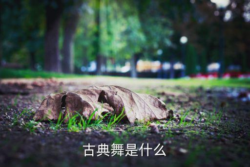 古典舞是什么
