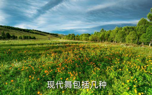 关于冬天的舞蹈现代舞