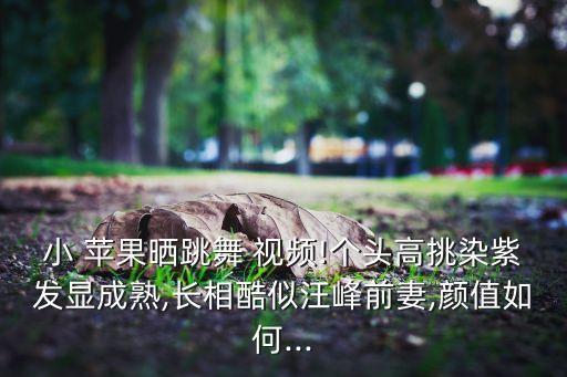 王广舞蹈小苹果视频,王广广场舞视频小苹果