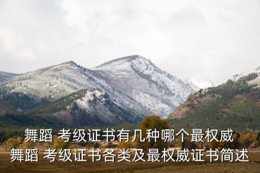  舞蹈 考级证书有几种哪个最权威 舞蹈 考级证书各类及最权威证书简述