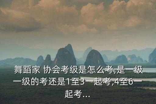  舞蹈家 协会考级是怎么考,是一级一级的考还是1至3一起考,4至6一起考...