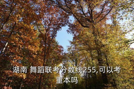 湖南 舞蹈联考分数线255,可以考重本吗