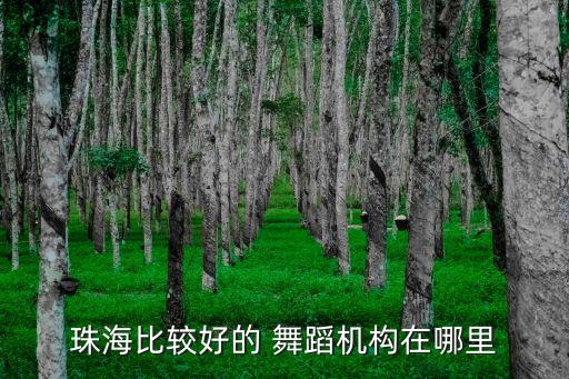 前方舞蹈基地李老师