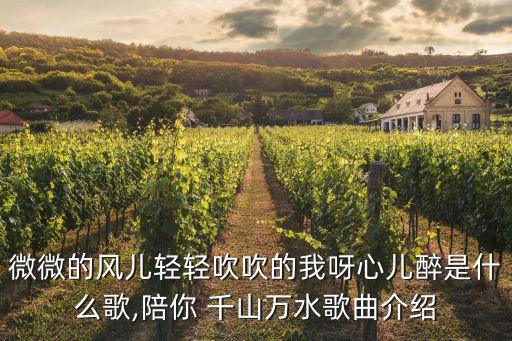 你的千山万水舞蹈简单,千山万水舞蹈视频完整版