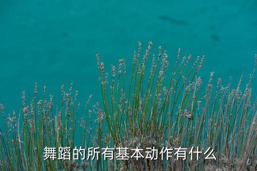 舞蹈控旁腿图片,舞蹈基本功压旁腿图片