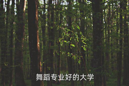  舞蹈专业好的大学