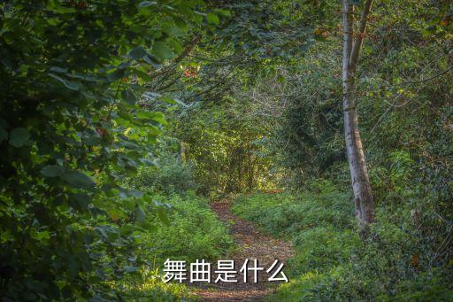 舞曲是什么