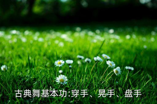 古典舞基本功:穿手、晃手、盘手