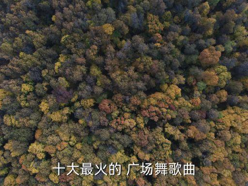 十大最火的 广场舞歌曲