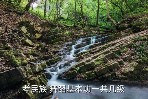 10级舞蹈傣族考级,舞蹈考级傣族舞蹈竹林深处